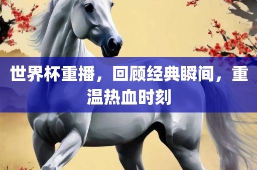 世界杯重播，回顾经典瞬间，重温热血时刻