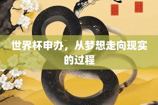 世界杯申办，从梦想走向现实的过程
