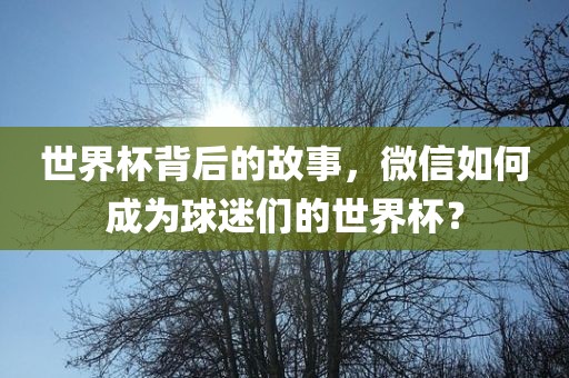 世界杯背后的故事，微信如何成为球迷们的世界杯？