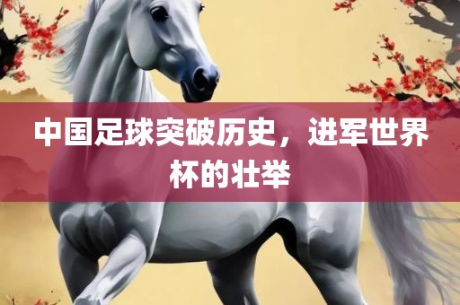 中国足球突破历史，进军世界杯的壮举