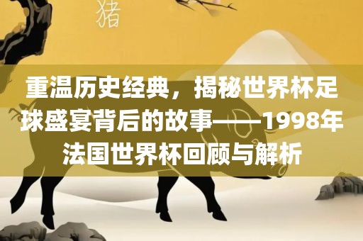 重温历史经典，揭秘世界杯足球盛宴背后的故事——1998年法国世界杯回顾与解析