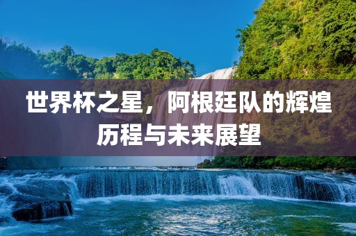 世界杯之星，阿根廷队的辉煌历程与未来展望