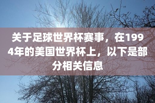 关于足球世界杯赛事，在1994年的美国世界杯上，以下是部分相关信息