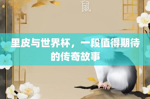 里皮与世界杯，一段值得期待的传奇故事