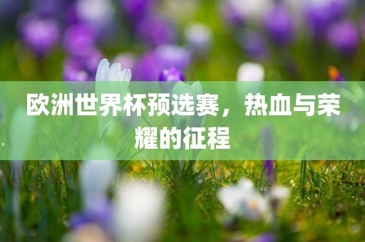 欧洲世界杯预选赛，热血与荣耀的征程