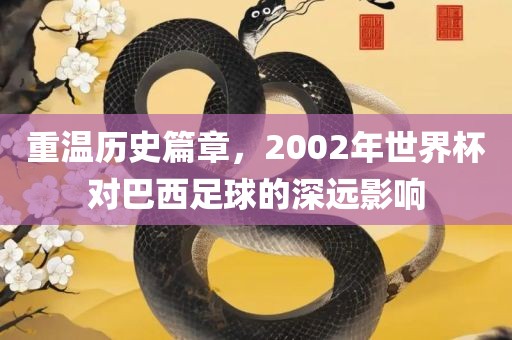 重温历史篇章，2002年世界杯对巴西足球的深远影响