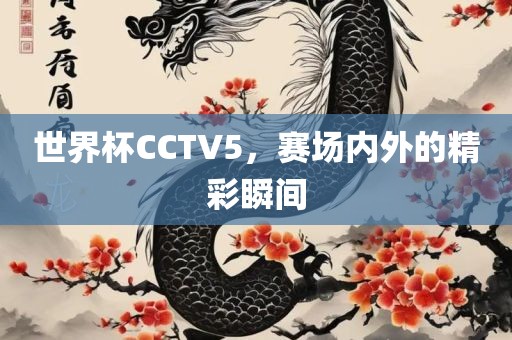 世界杯CCTV5，赛眉山市正发家政服务有限公司场内外的精彩瞬间
