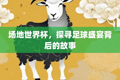 场地世界杯，探寻足球盛宴背后的故事