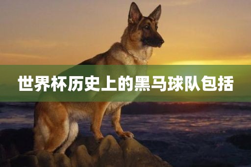 linzizhu 第7页