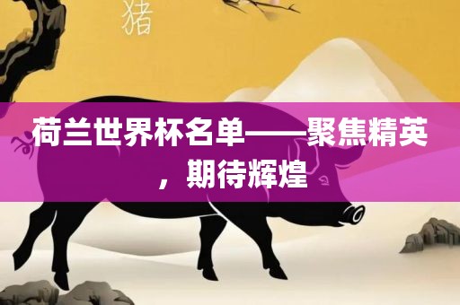 荷兰世界杯名单——聚焦精英，期待辉煌