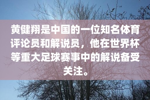 黄健翔是中国的一位知名体育评论员和解说员，他在世界杯等重大足球赛事中的解说备受关注。