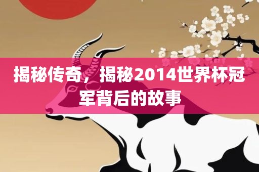 揭秘传奇，揭秘2014世界杯冠军背后的故事