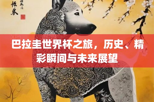 巴拉圭世界杯之旅，历史、精彩瞬间与未来展望