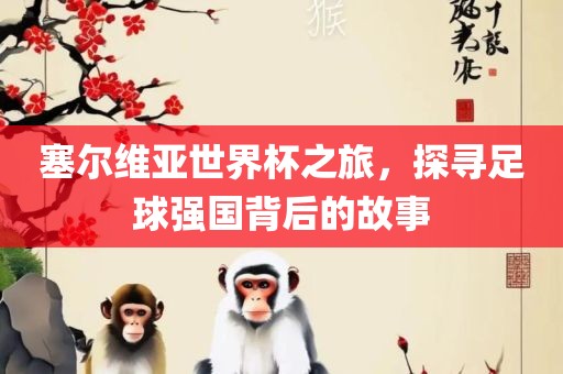 塞尔维亚世界杯之旅，探寻足球强国背后的故事