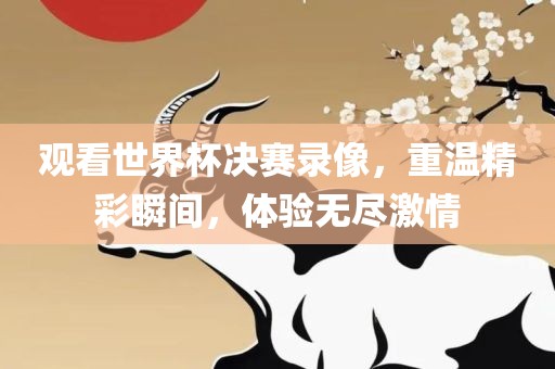 观看世界杯决赛录像，重温精彩瞬间，体验无尽激情