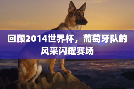 回顾2014世界杯，葡萄牙队的风采闪耀赛场