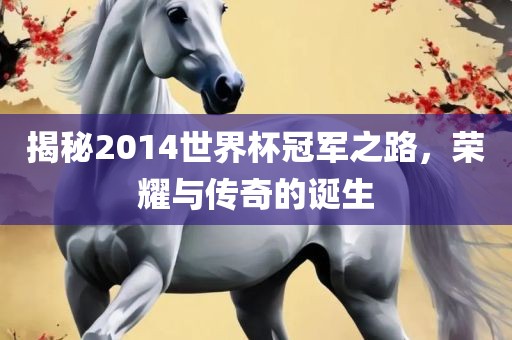 揭秘2014世界杯冠军之路，荣耀与传奇的诞生