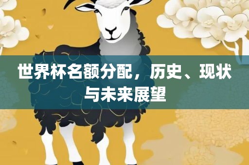 世界杯名额分配，历史、现状与未来展望
