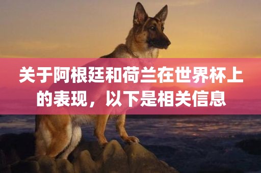关于阿根廷和荷兰在世界杯上的表现，以下是相关信息