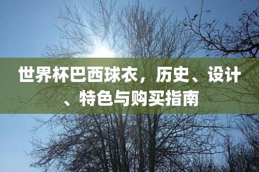 世界杯巴西球衣，历史、设计、特色与购买指南