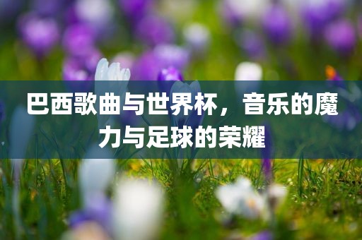 巴西歌曲与世界杯，音乐的魔力与足球的荣耀