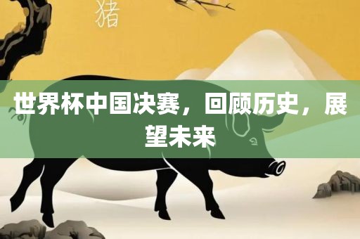 世界杯中国决赛，回顾历史，展望未来