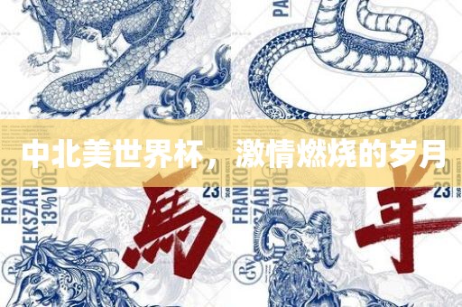中北美世界杯，激情燃烧的岁月