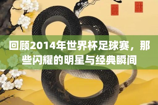 回顾2014年世界杯足球赛，那些闪耀的明星与经典瞬间