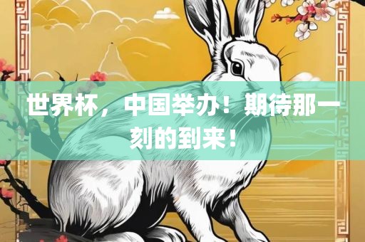 世界杯，中国举办！期待那一刻的到来！