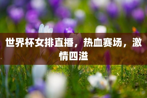 世界杯女排直播，热血赛场，激情四溢