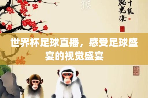 世界杯足球直播，感受足球盛宴的视觉盛宴