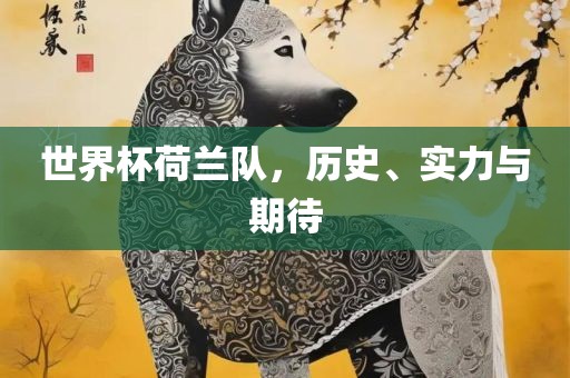 世界杯荷兰队，历史、实力与期待