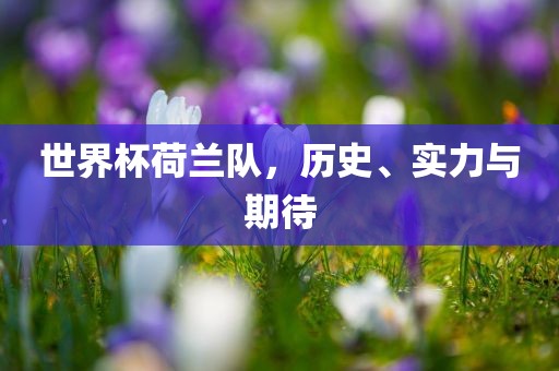 世界杯荷兰队，历史、实力与期待