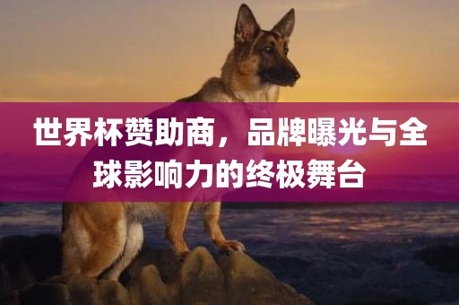 世界杯赞助商，品牌曝光与全球影响力的终极舞台