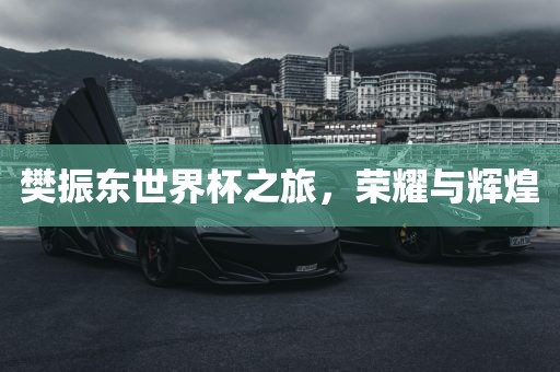 樊振东世界杯之旅，荣耀与辉煌