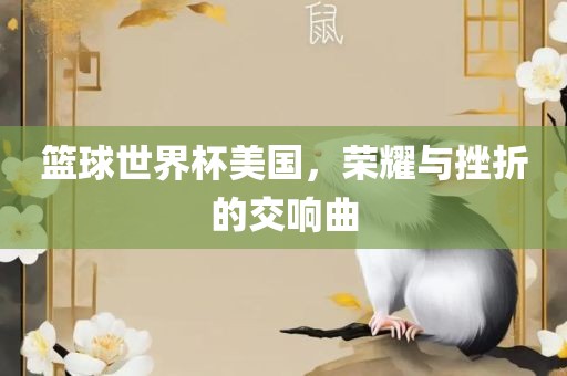 篮球世界杯美国，荣耀与挫折的交响曲