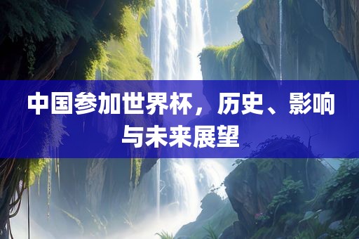 中国参加世界杯，历史、影响与未来展望眉山市正发家政服务有限公司