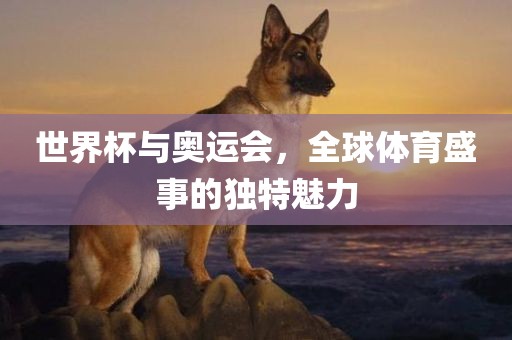 世界杯与奥运会，全球体育盛事的独特魅力