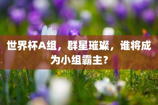 世界杯A组，群星璀璨，谁将成为小组霸主？