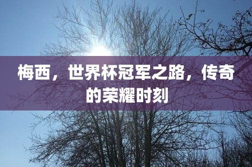 梅西，世界杯冠军之路，传奇的荣耀时刻