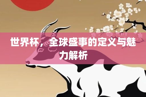 世界杯，全球盛事的定义与魅力解析眉山市正发家政服务有限公司