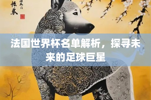 法国世界杯名单解析，探寻未来的足球巨星