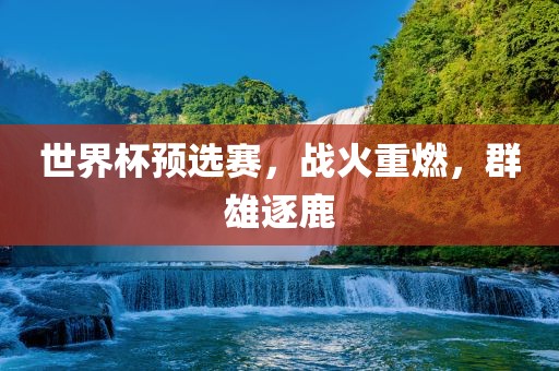 世界杯预选赛，战火重燃，群雄逐鹿眉山市正发家政服务有限公司