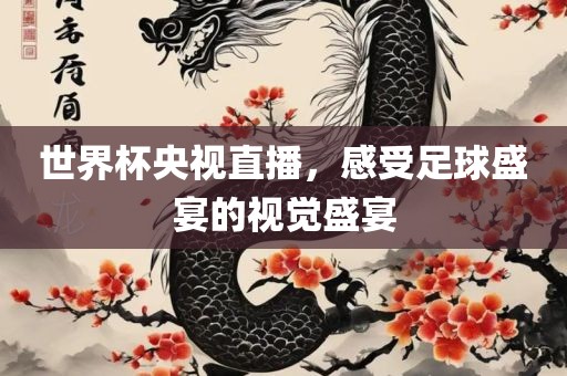 世界杯央视直播，感受足球盛宴的视觉盛宴