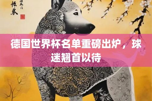 德国世界杯名单重磅出炉，球迷翘首以待