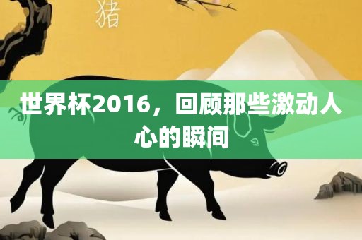 世界杯2016，回顾那些激动人心的瞬间