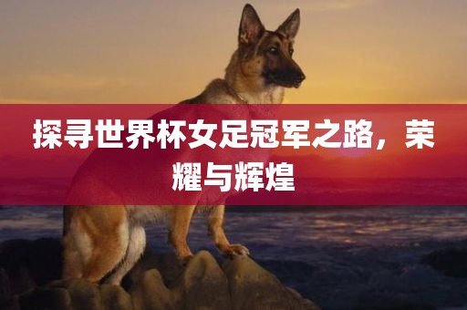 探寻世界杯女足冠军之路，荣耀与辉煌