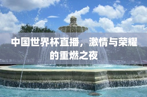 中国世界杯直播，激情与荣耀的重燃之夜眉山市正发家政服务有限公司