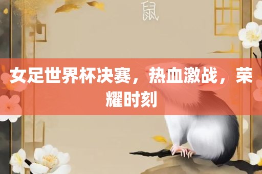 女足世界杯决赛，热血激战，荣耀时刻