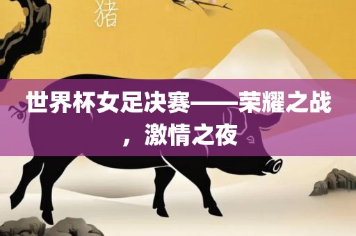 世界杯女足决赛——荣耀之战，激情之夜